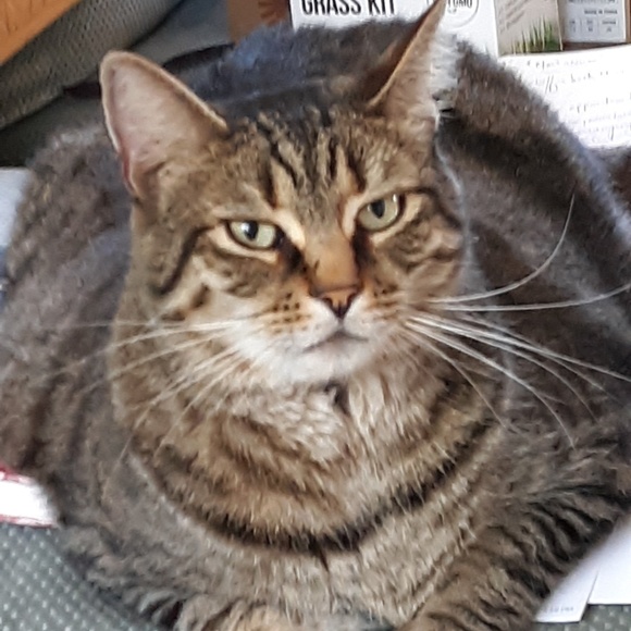 Meet your Posher, Brian - Picture 1 of 1